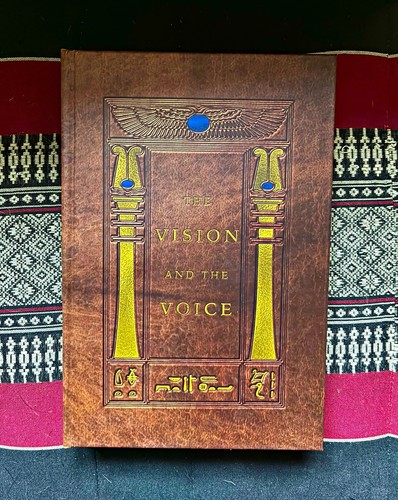 The vision voice - vision, –